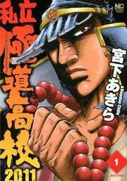 『私立極道高校2011』の表紙