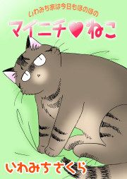 『マイニチ★ねこ』の表紙