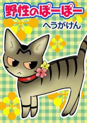 『野性のぽーぽー』の表紙