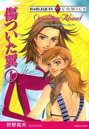 『傷ついた翼』の表紙