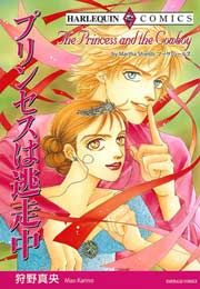 『プリンセスは逃走中』の表紙