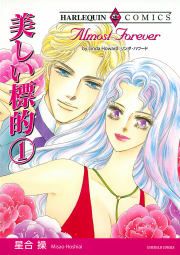 『美しい標的』の表紙