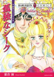 『孤独なシーク』の表紙