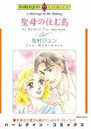 『聖母の住む島』の表紙