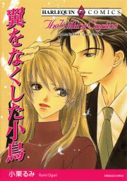 『翼をなくした小鳥』の表紙