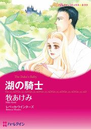 『湖の騎士』の表紙