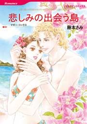 『悲しみの出会う島』の表紙