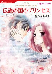 『伝説の国のプリンセス』の表紙