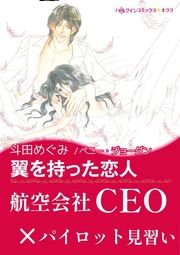 『翼を持った恋人』の表紙