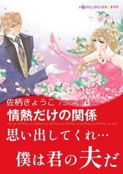 『情熱だけの関係』の表紙
