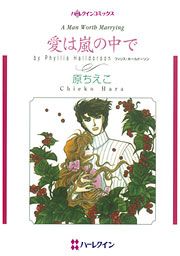 『愛は嵐の中で』の表紙