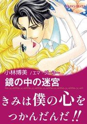 『鏡の中の迷宮』の表紙