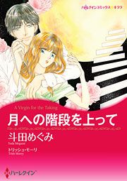 『月への階段を上って』の表紙