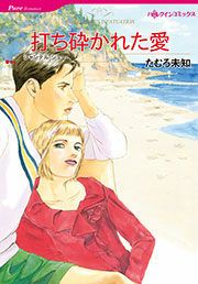『打ち砕かれた愛』の表紙