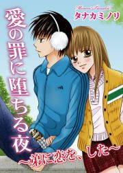 『愛の罪に堕ちる夜~弟に恋を、した~』の表紙