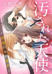 『汚された天使-制服の中の秘密-』の表紙