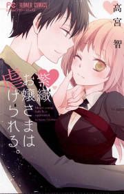 『紫織お嬢さまは虐げられる。』の表紙