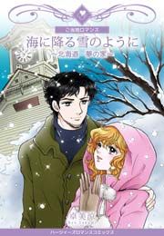 『海に降る雪のように～北海道・夢の家～』の表紙