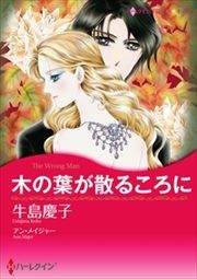 『木の葉が散るころに』の表紙