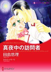 『真夜中の訪問者』の表紙