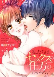 『私たちはセックスの仕方がわからない』の表紙