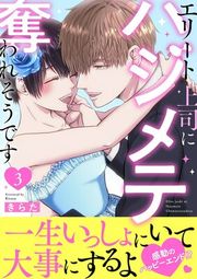 『エリート上司にハジメテ奪われそうです』の表紙