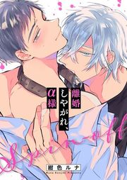 『離婚しやがれ、α様』の表紙