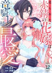 『売られた赤錆の花嫁は竜騎士様の最愛となる』の表紙
