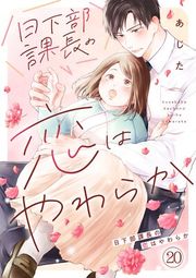 『日下部課長の恋はやわらか』の表紙