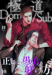 『極道Dom/Sub 正しい愚弟の躾け方』の表紙