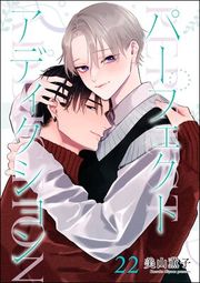 『パーフェクトアディクション（分冊版）』の表紙