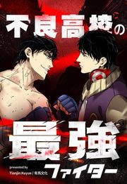 『不良高校の最強ファイター』の表紙