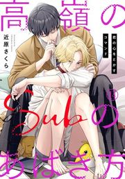 『高嶺のSubのあばき方〜君の心をとかすコマンド〜』の表紙