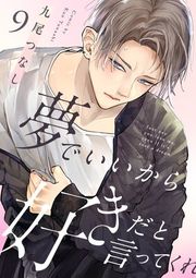 『夢でいいから好きだと言ってくれ』の表紙