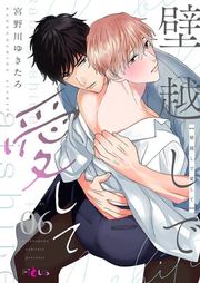 『壁越しで愛して』の表紙