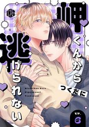 『岬くんから逃げられない』の表紙