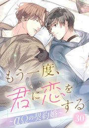 『もう一度、君に恋をする〜αΩの契約婚〜』の表紙