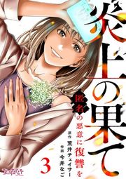 『炎上の果て〜匿名の悪意に復讐を〜』の表紙